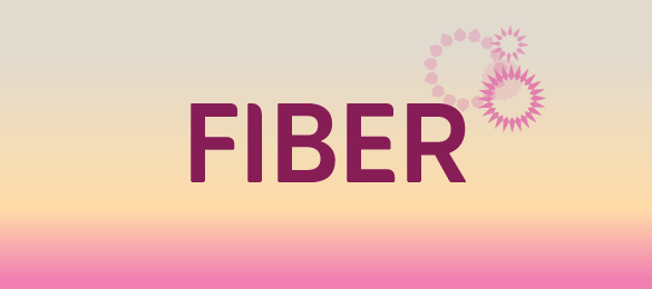 ftth-fiber-packages